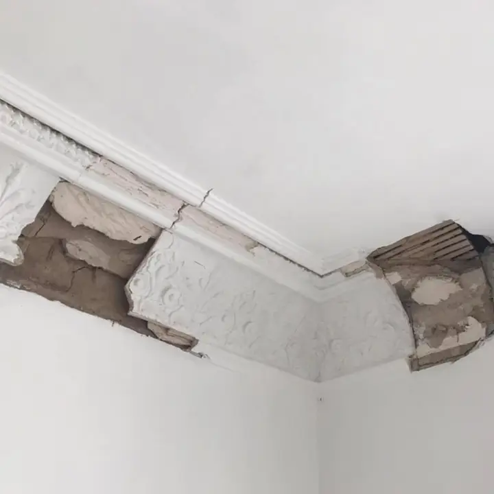 Exposed lath and broken plaster with ornate cornice detail awaiting repair – Lath and plaster ceiling repair – Glasgow