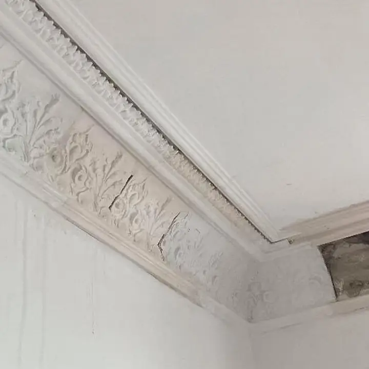 Section of restored decorative cornice showing reinstalled corner and floral detail – Cornice restoration – Glasgow